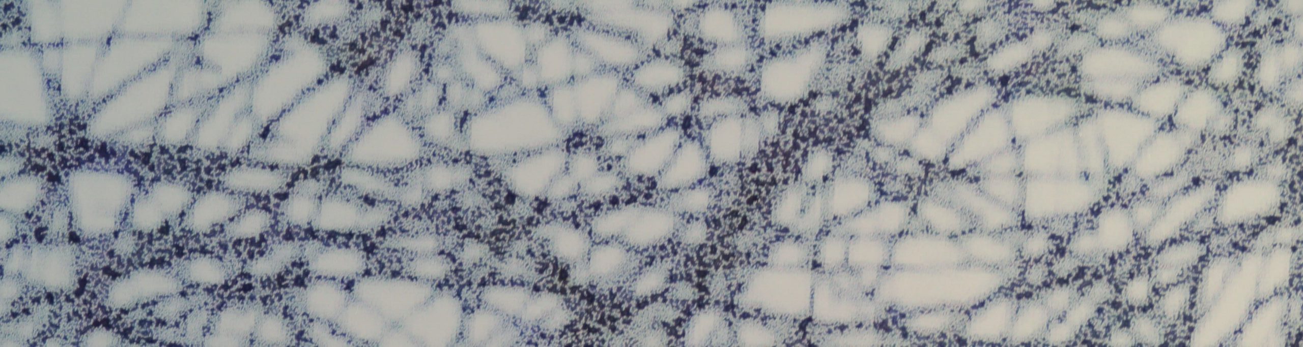 Saddhavati in the studio